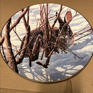 Decorative Plate with Rabbit Design
Winter Hiding Seerey Lester